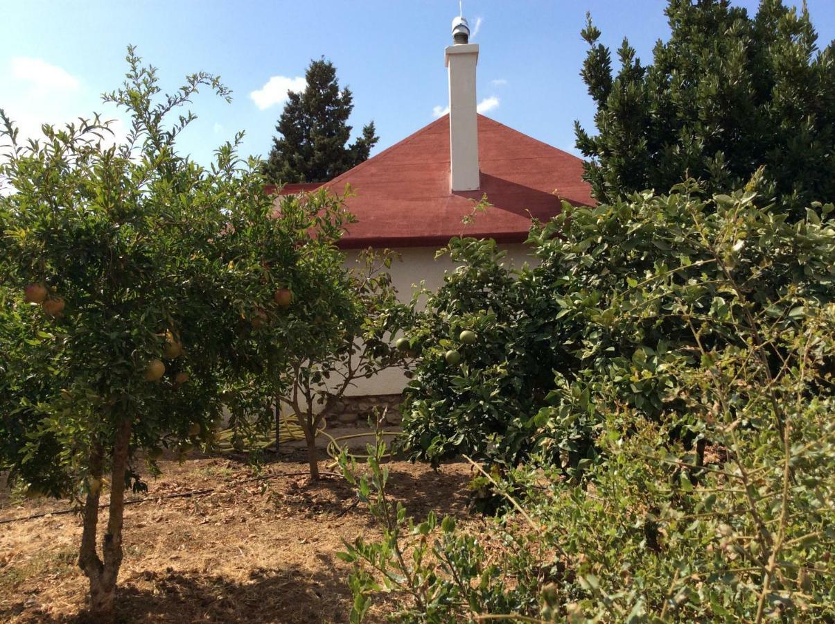 La Casa De Las Higueras Dar Karmus Tetouan Tetuão Exterior foto