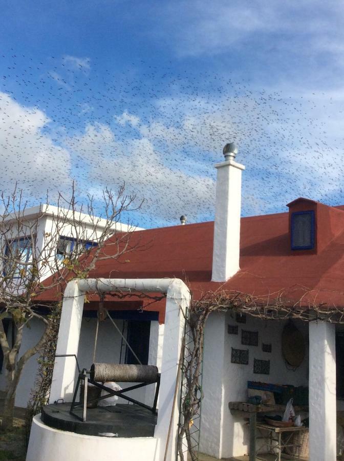 La Casa De Las Higueras Dar Karmus Tetouan Tetuão Exterior foto