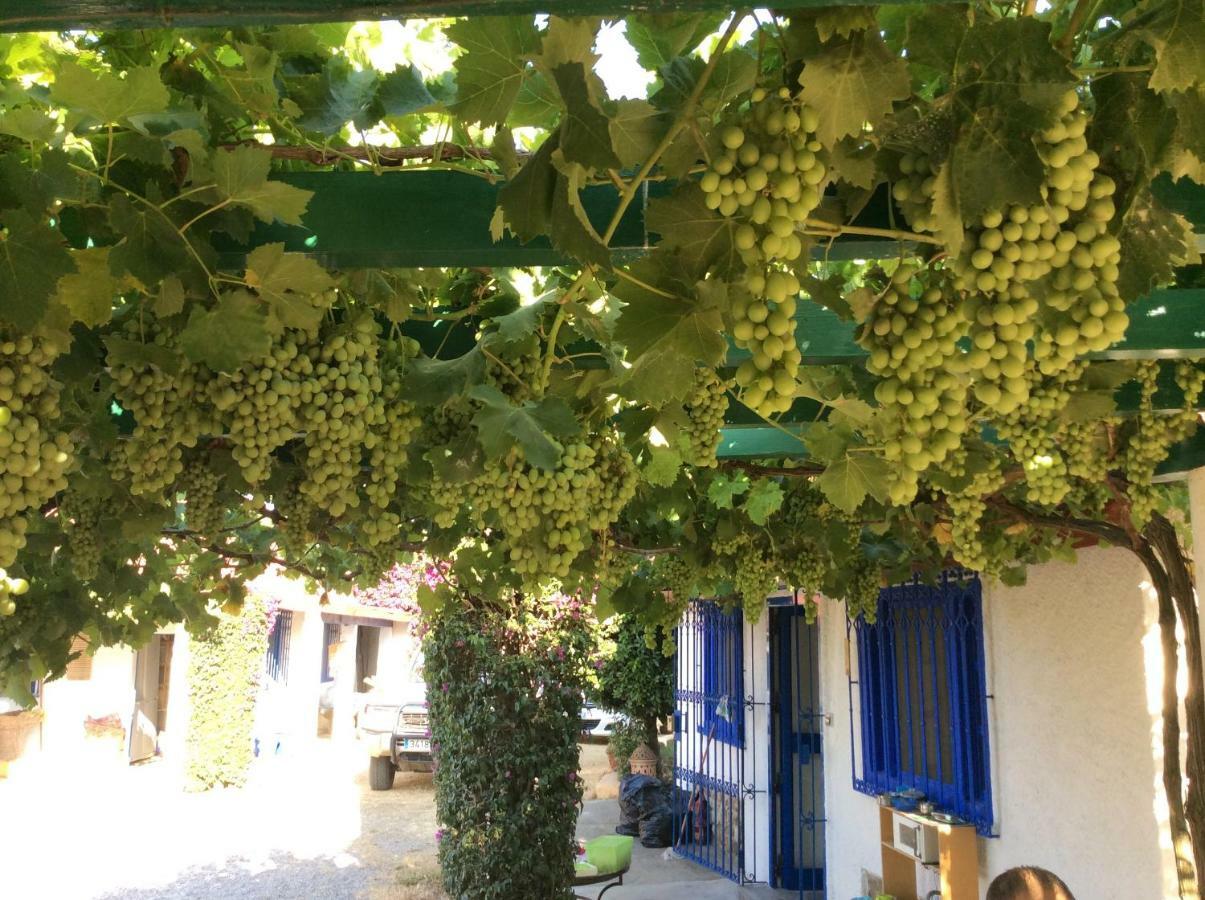 La Casa De Las Higueras Dar Karmus Tetouan Tetuão Exterior foto
